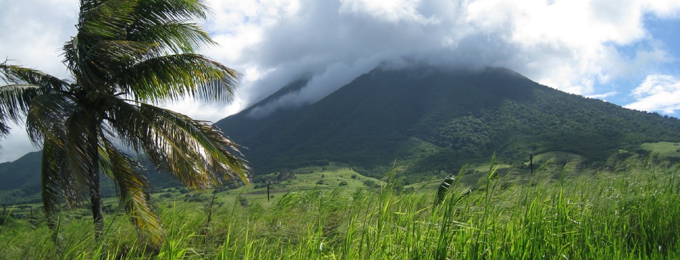 St. Kitts - Sugar Cane Fields and Mount Liamuiga